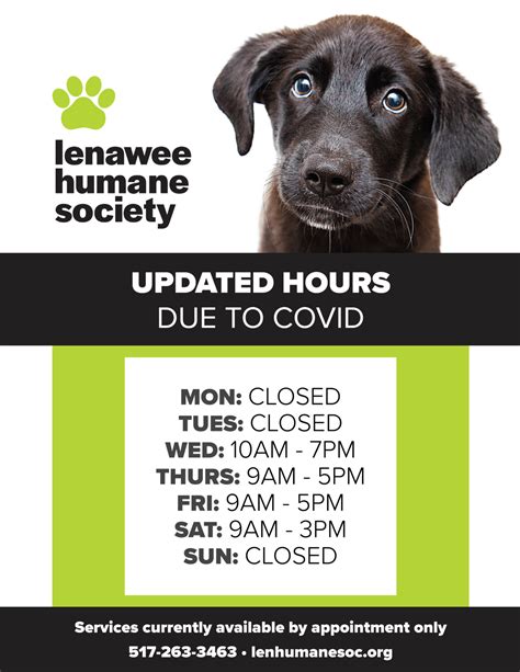 humane society adrian|animal shelters in adrian mi.